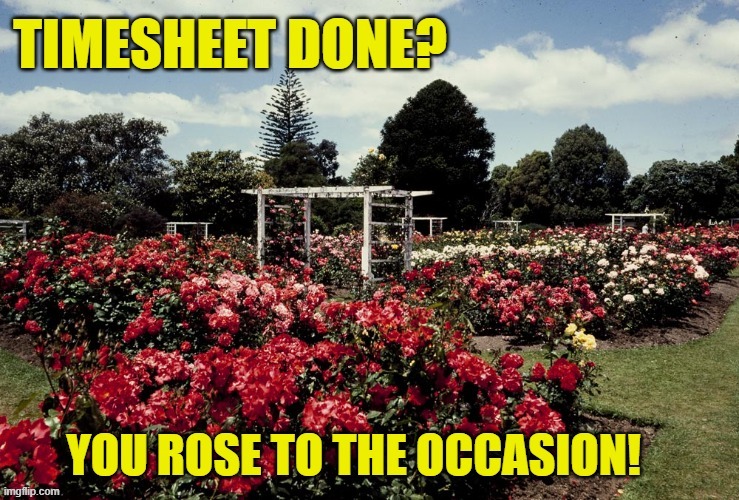 Festival of Roses Timesheet Reminder | image tagged in festival of roses timesheet reminder,timesheet reminder,timesheet meme,parnell festival of roses,meme | made w/ Imgflip meme maker