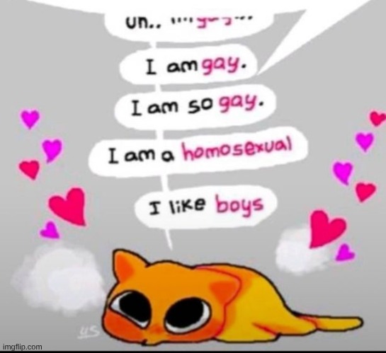 So gay | image tagged in gay,cat,femboy,homosexual,homosexuality | made w/ Imgflip meme maker
