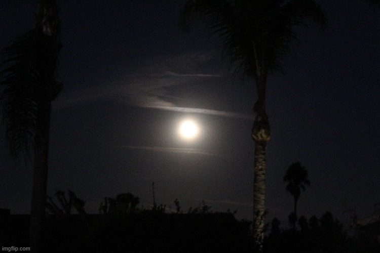 Moon :D | made w/ Imgflip meme maker