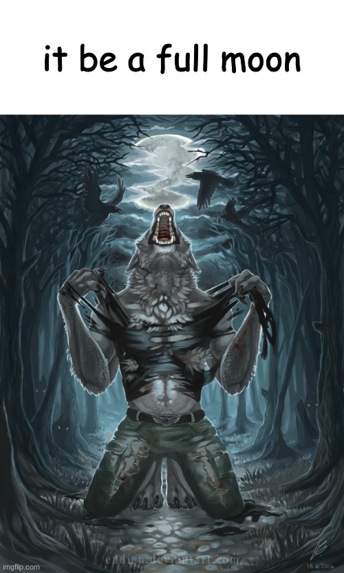 look outside | it be a full moon | image tagged in wolf howling | made w/ Imgflip meme maker