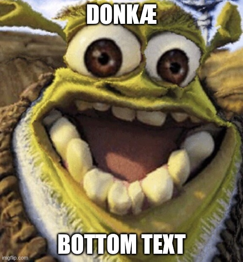 dœñkæ | DONKÆ; BOTTOM TEXT | image tagged in shrek,shitpost,ive committed various war crimes | made w/ Imgflip meme maker