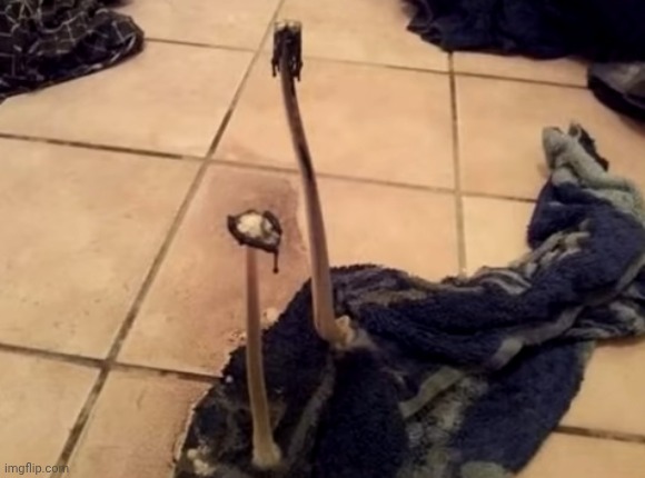 imagine these on a pizza | made w/ Imgflip meme maker