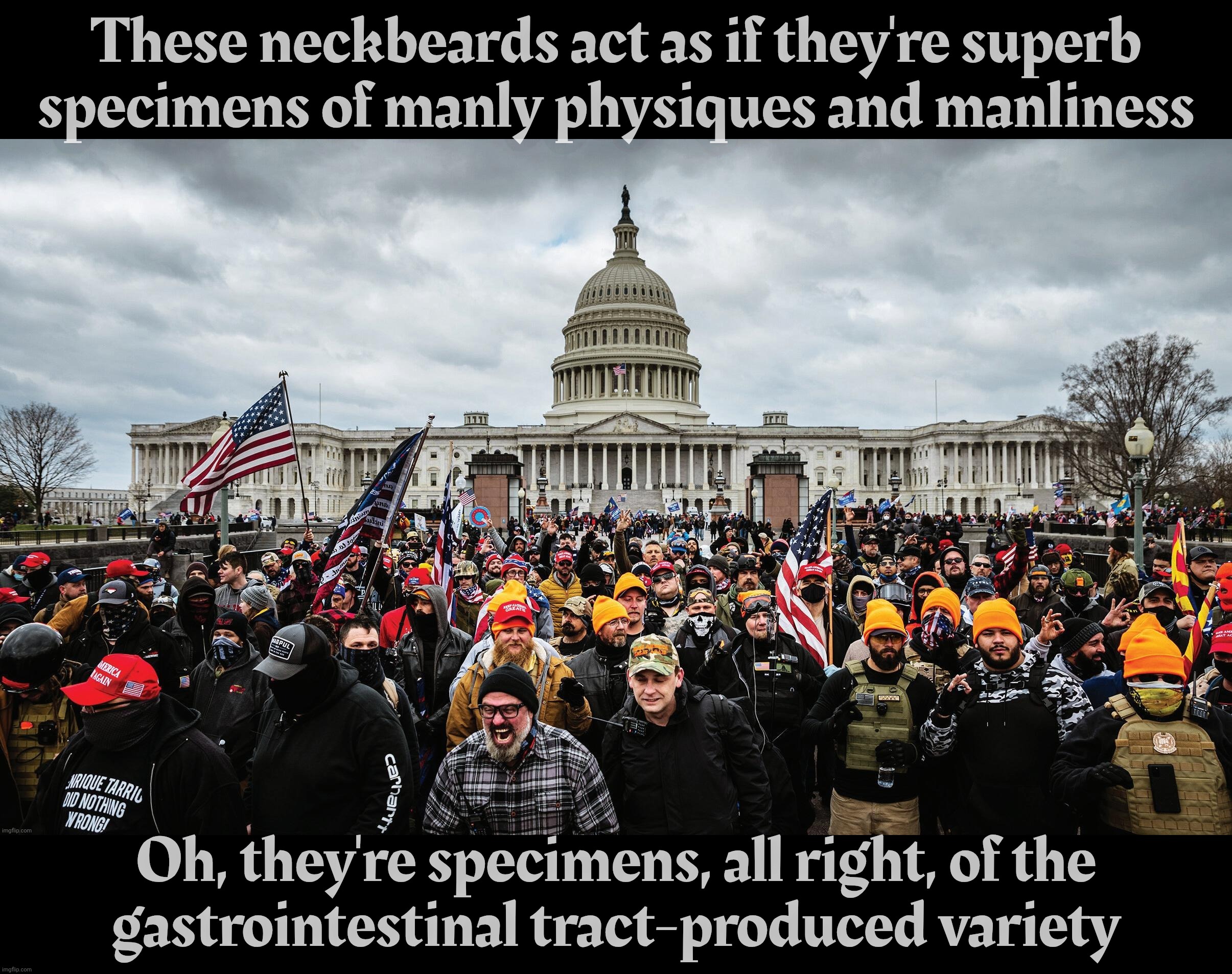The Trailer Park Contingent are always yapping about their physical prowess. Sure are, if you're a cushion on a cheap sofa | These neckbeards act as if they're superb
specimens of manly physiques and manliness; Oh, they're specimens, all right, of the
gastrointestinal tract-produced variety | image tagged in january 6th rioters,trailer park trash,fine specimens of human effluent,taking the day off from work  no doubt,septic tankers | made w/ Imgflip meme maker