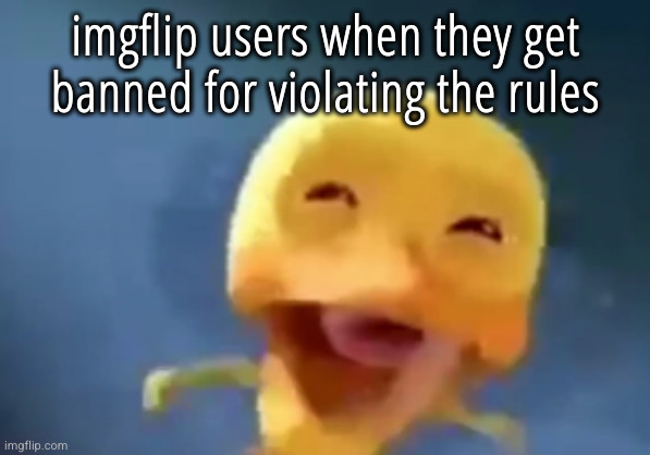 crying duck | imgflip users when they get banned for violating the rules | image tagged in crying duck | made w/ Imgflip meme maker