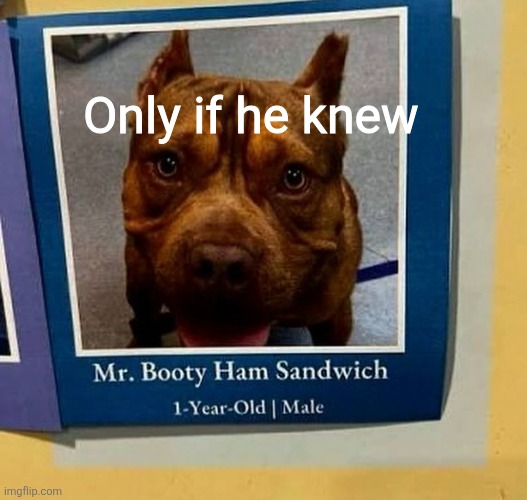 Only if he knew | made w/ Imgflip meme maker