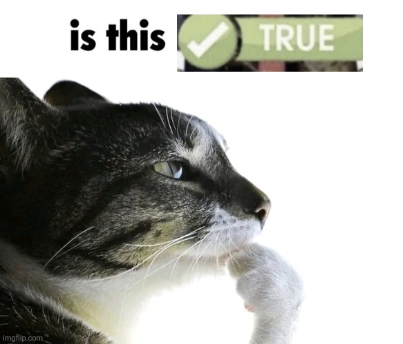 . | image tagged in is this ragebait | made w/ Imgflip meme maker