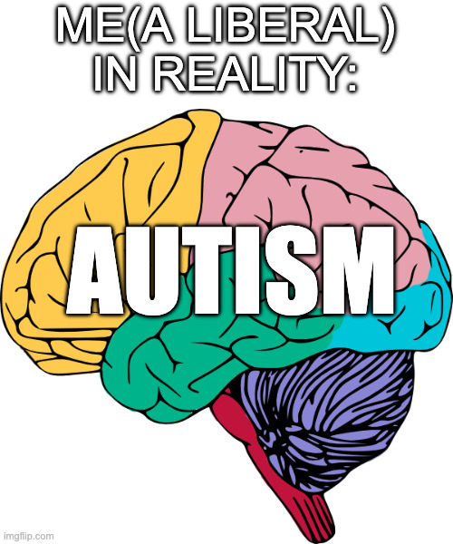 ME(A LIBERAL) IN REALITY: AUTISM | image tagged in brain sections | made w/ Imgflip meme maker