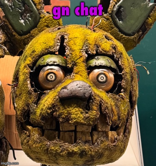 spingletap | gn chat | image tagged in spingletap | made w/ Imgflip meme maker