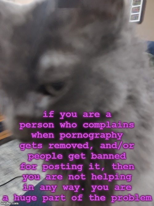 32's Cat | if you are a person who complains when pornography gets removed, and/or people get banned for posting it, then you are not helping in any way. you are a huge part of the problem | image tagged in 32's cat | made w/ Imgflip meme maker