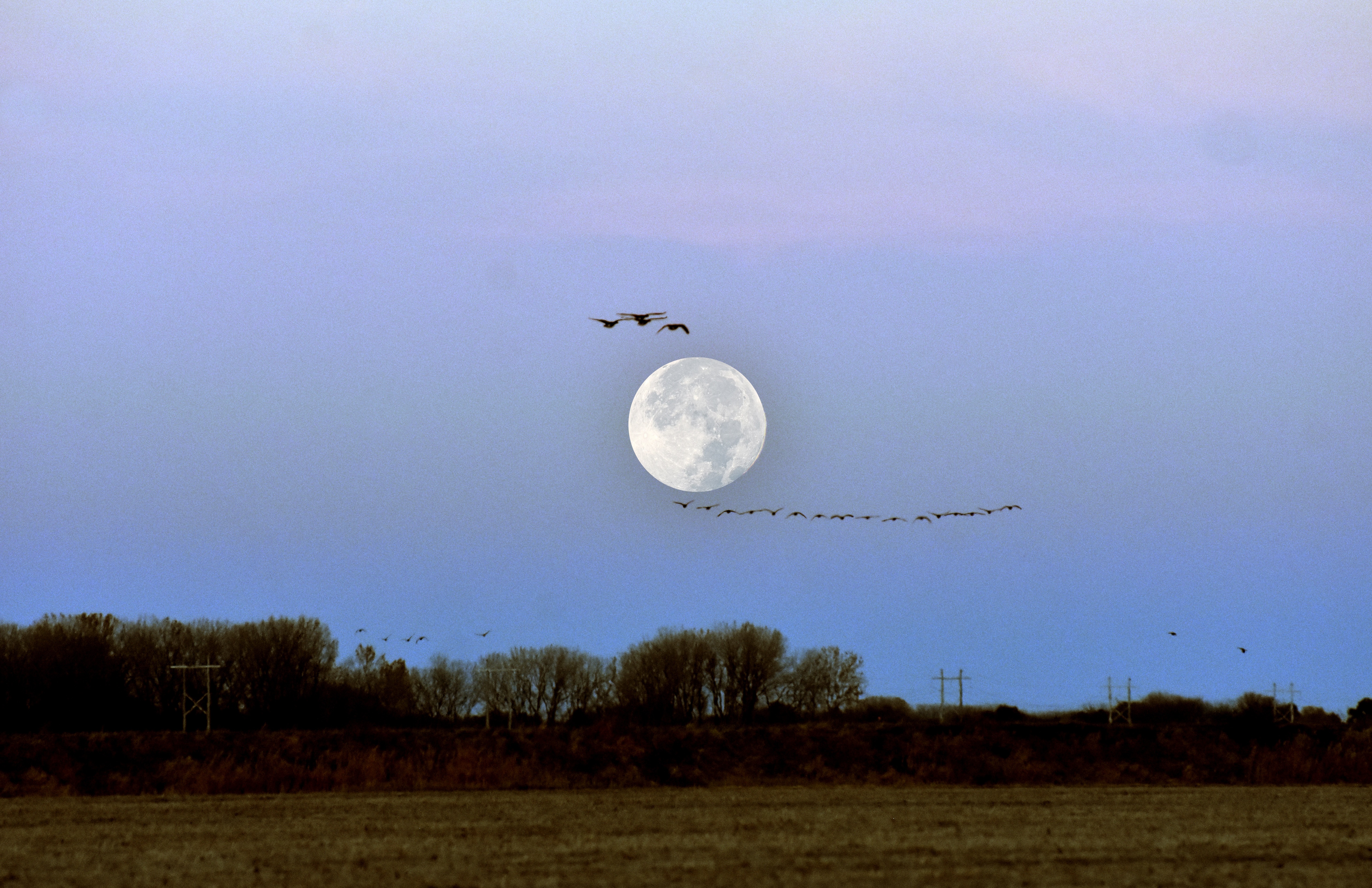 beaver moon 11/5/2025 | made w/ Imgflip meme maker