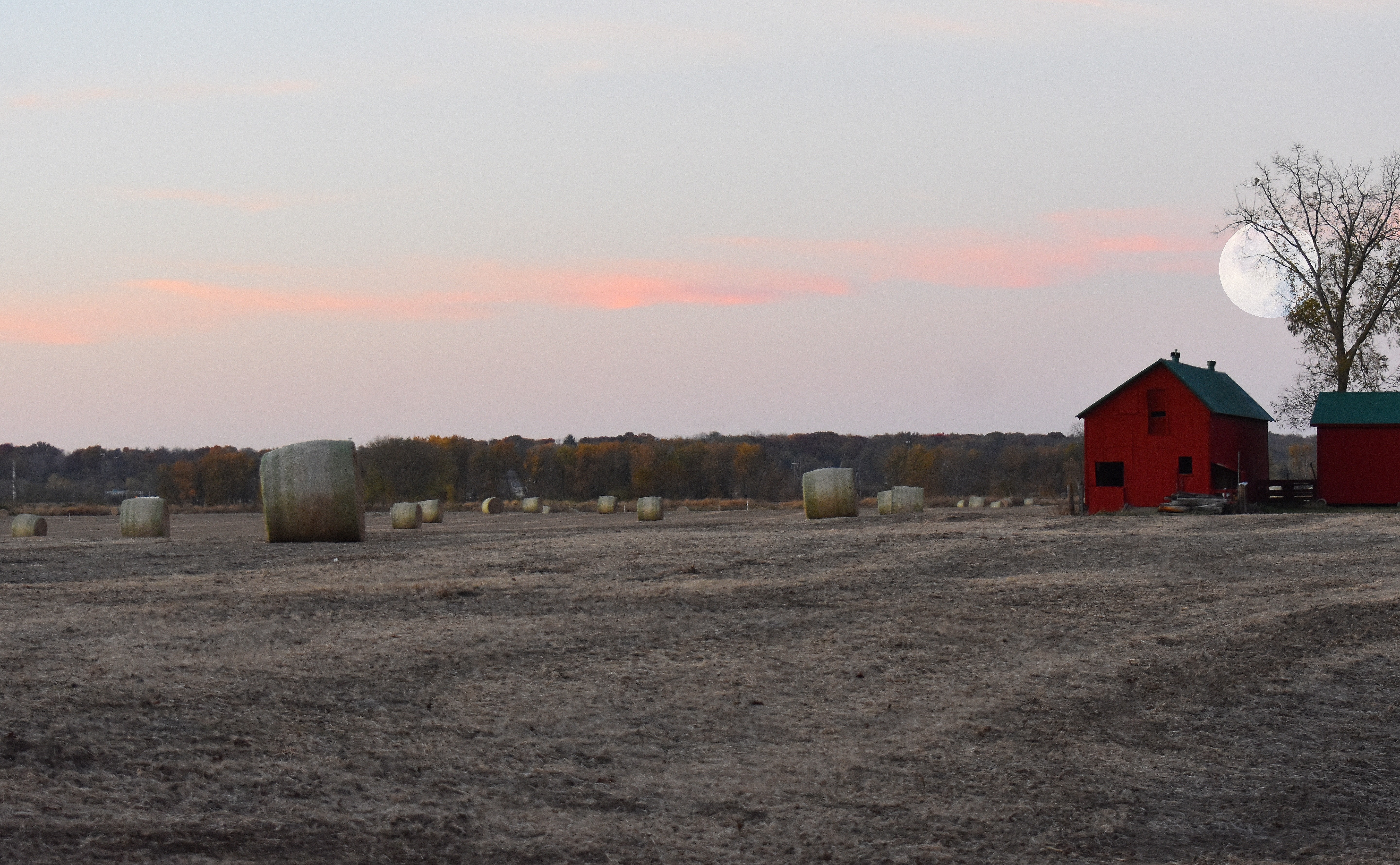 beaver moon over barn | made w/ Imgflip meme maker