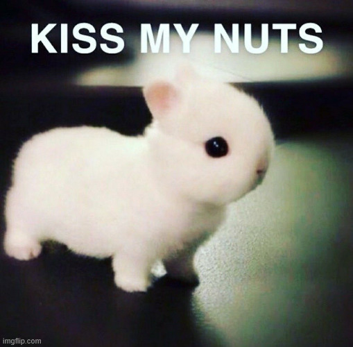 KISS MY NUTS | image tagged in kiss my nuts | made w/ Imgflip meme maker