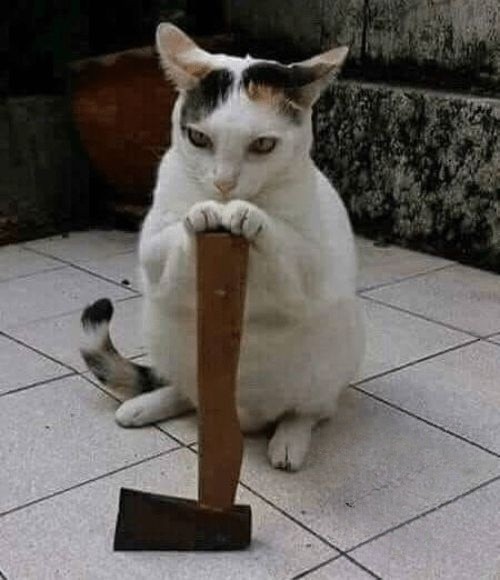 High Quality Cat with axe Blank Meme Template
