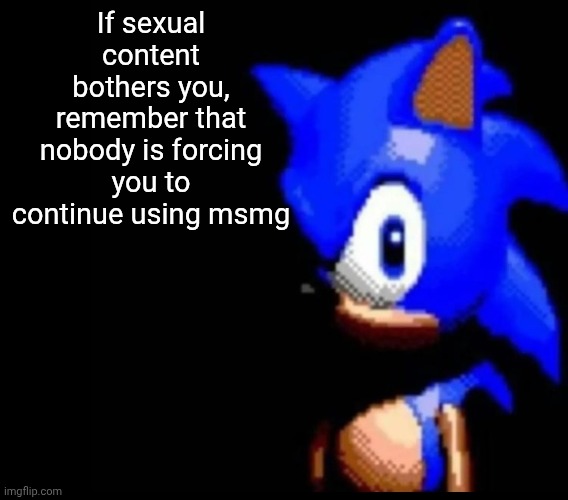 Sonic stares | If sexual content bothers you, remember that nobody is forcing you to continue using msmg | image tagged in sonic stares | made w/ Imgflip meme maker