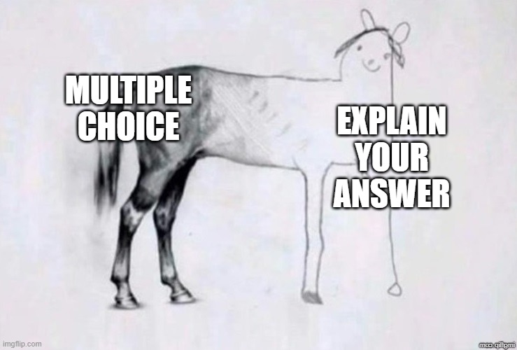 Horse Drawing | MULTIPLE CHOICE; EXPLAIN YOUR ANSWER | image tagged in horse drawing | made w/ Imgflip meme maker