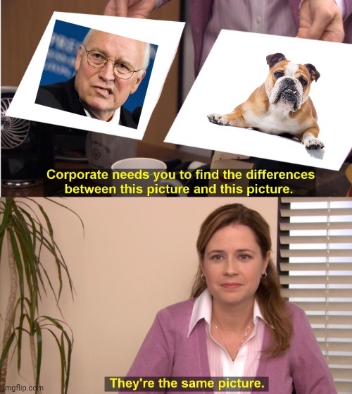 To me, Dick Cheney always looked like an angry bulldog | image tagged in memes,they're the same picture,dick cheney,republicans | made w/ Imgflip meme maker