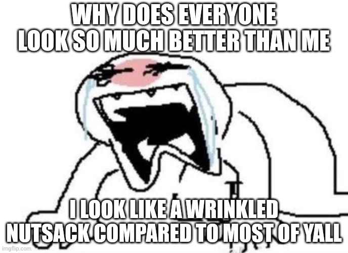 Ugly Crying | WHY DOES EVERYONE LOOK SO MUCH BETTER THAN ME; I LOOK LIKE A WRINKLED NUTSACK COMPARED TO MOST OF YALL | image tagged in ugly crying | made w/ Imgflip meme maker