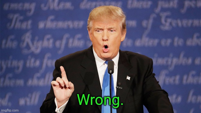 Donald Trump Wrong | Wrong. | image tagged in donald trump wrong | made w/ Imgflip meme maker