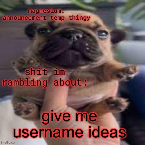 pug temp | give me username ideas | image tagged in pug temp | made w/ Imgflip meme maker