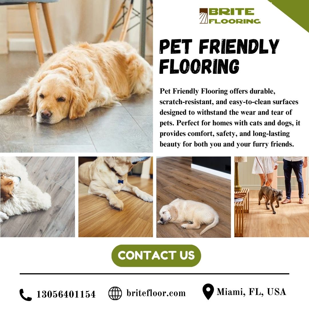 Pet Friendly Flooring Blank Meme Template