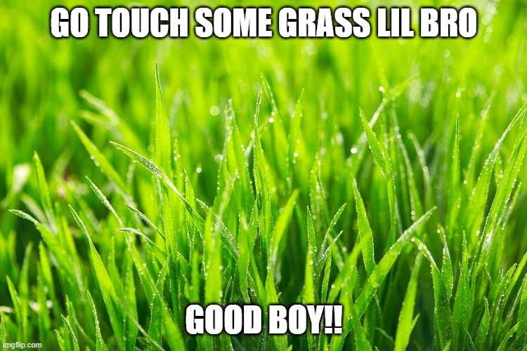 Grass | GO TOUCH SOME GRASS LIL BRO; GOOD BOY!! | image tagged in grass,memes,get a life | made w/ Imgflip meme maker