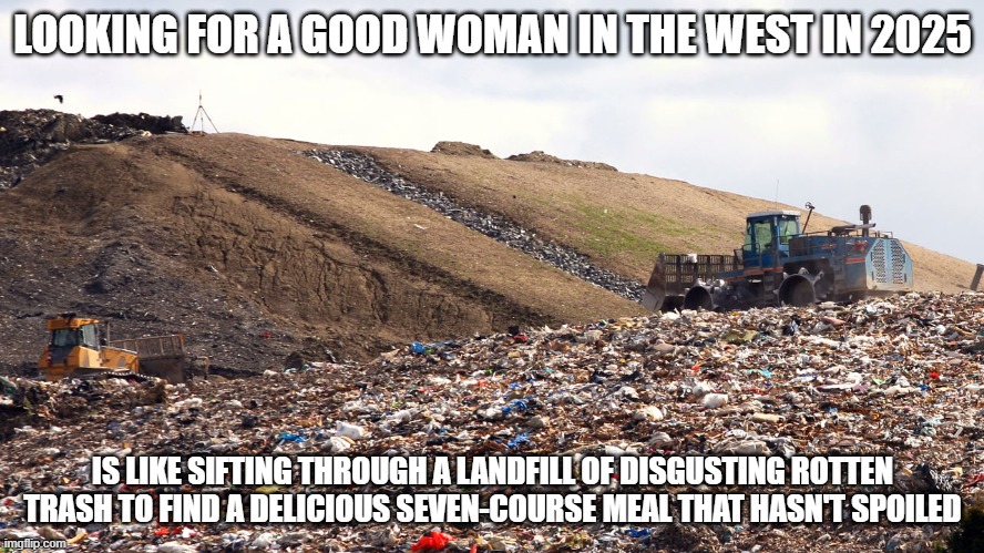 Dating in 2025 | LOOKING FOR A GOOD WOMAN IN THE WEST IN 2025; IS LIKE SIFTING THROUGH A LANDFILL OF DISGUSTING ROTTEN TRASH TO FIND A DELICIOUS SEVEN-COURSE MEAL THAT HASN'T SPOILED | image tagged in mgtow,dating sucks | made w/ Imgflip meme maker
