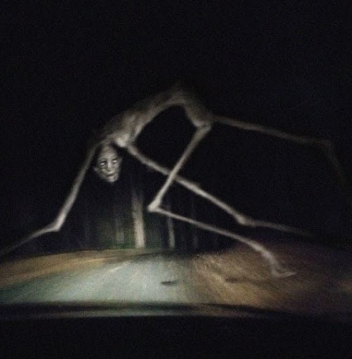 SCP-0321-IK Blank Meme Template