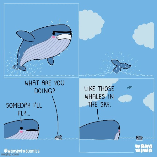 image tagged in whale,shark,flying,sky,plane,airplane | made w/ Imgflip meme maker