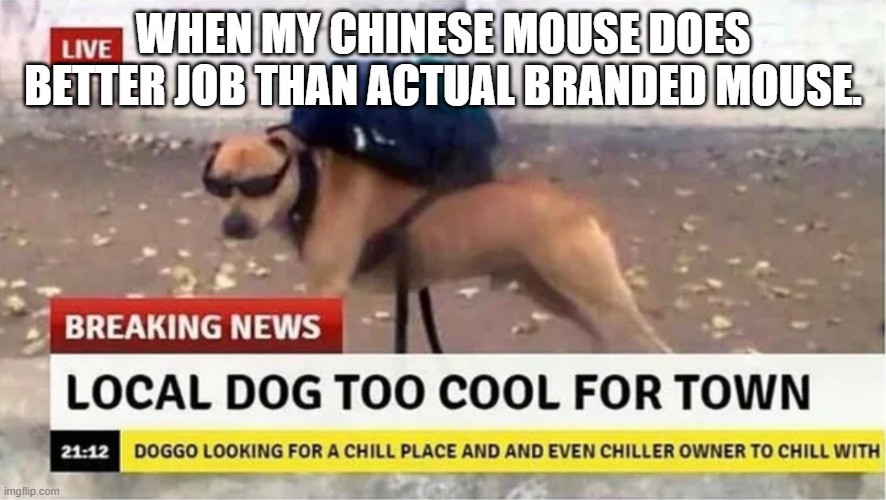 Instant mouse meme | WHEN MY CHINESE MOUSE DOES BETTER JOB THAN ACTUAL BRANDED MOUSE. | image tagged in local dog too cool for town | made w/ Imgflip meme maker