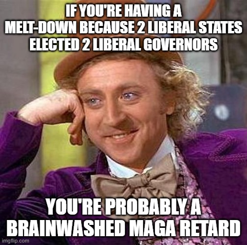 Duh! | IF YOU'RE HAVING A MELT-DOWN BECAUSE 2 LIBERAL STATES ELECTED 2 LIBERAL GOVERNORS; YOU'RE PROBABLY A BRAINWASHED MAGA RETARD | image tagged in maga,retards,trump,pedo,pedo again | made w/ Imgflip meme maker