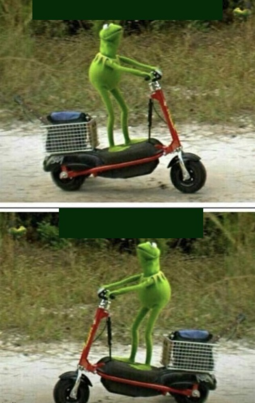 Kermit Arriving, Kermit Turn Back Blank Meme Template