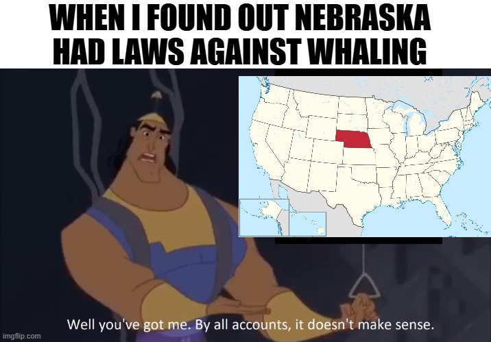 By all accounts it doesn't make sense | WHEN I FOUND OUT NEBRASKA HAD LAWS AGAINST WHALING | image tagged in kronk - doesn't make sense captioned | made w/ Imgflip meme maker