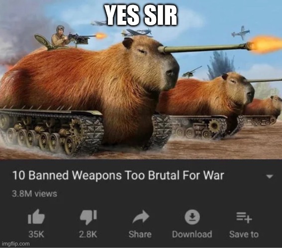 YES SIR | image tagged in capybara millitary | made w/ Imgflip meme maker