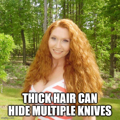 Sexy redhead | THICK HAIR CAN HIDE MULTIPLE KNIVES | image tagged in sexy redhead | made w/ Imgflip meme maker
