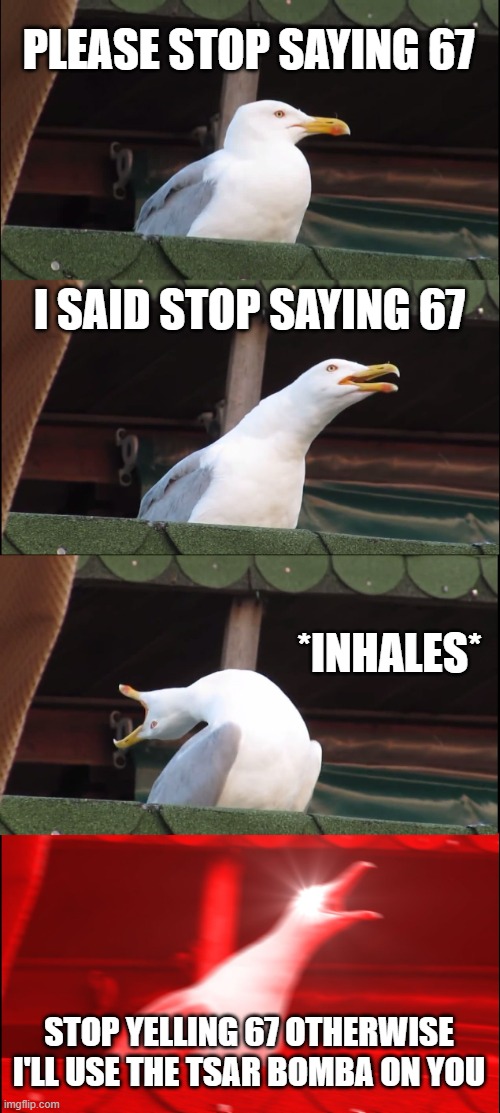 Inhaling Seagull | PLEASE STOP SAYING 67; I SAID STOP SAYING 67; *INHALES*; STOP YELLING 67 OTHERWISE I'LL USE THE TSAR BOMBA ON YOU | image tagged in memes,inhaling seagull | made w/ Imgflip meme maker