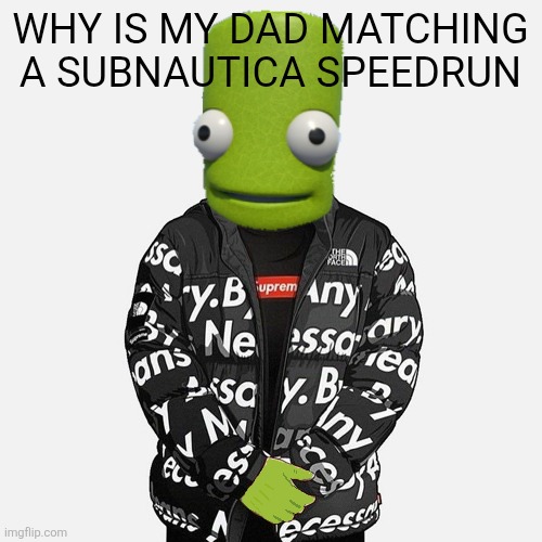 epilektoi drip | WHY IS MY DAD MATCHING A SUBNAUTICA SPEEDRUN | image tagged in epilektoi drip | made w/ Imgflip meme maker