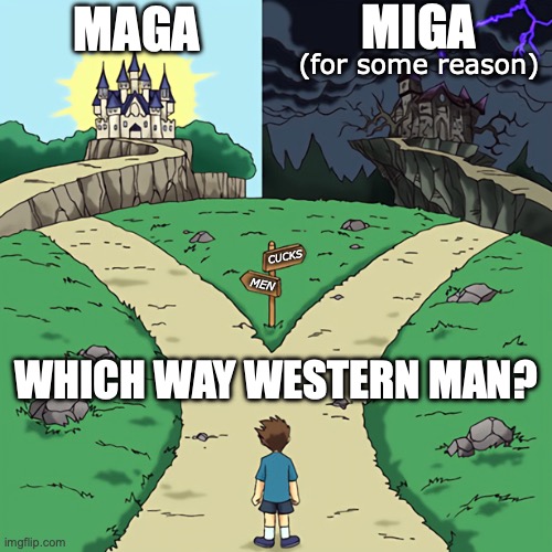 low effort antisemitism | MIGA; MAGA; (for some reason); CUCKS; MEN; WHICH WAY WESTERN MAN? | image tagged in two castles,politics,maga,america,political meme | made w/ Imgflip meme maker
