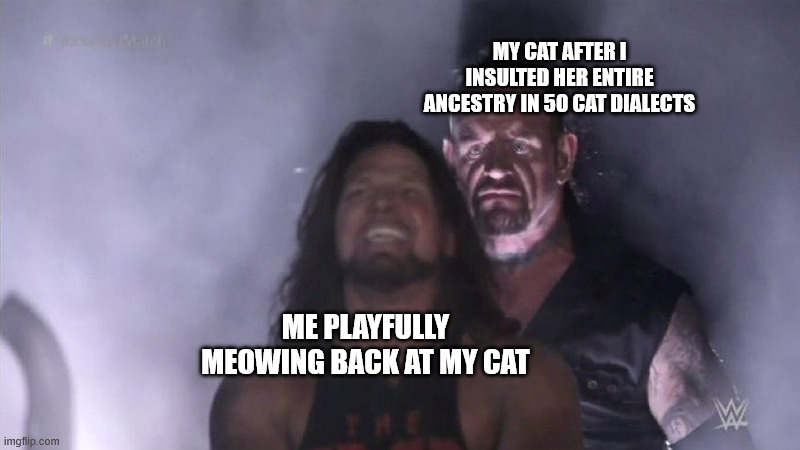 Guy behind another guy | MY CAT AFTER I INSULTED HER ENTIRE ANCESTRY IN 50 CAT DIALECTS; ME PLAYFULLY MEOWING BACK AT MY CAT | image tagged in guy behind another guy | made w/ Imgflip meme maker