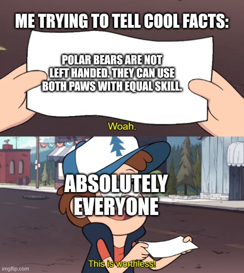 This was requested! hope you enjoy it! | ME TRYING TO TELL COOL FACTS:; POLAR BEARS ARE NOT LEFT HANDED. THEY CAN USE BOTH PAWS WITH EQUAL SKILL. ABSOLUTELY EVERYONE | image tagged in this is worthless,stupid,memes,lol so funny,why are you reading the tags | made w/ Imgflip meme maker