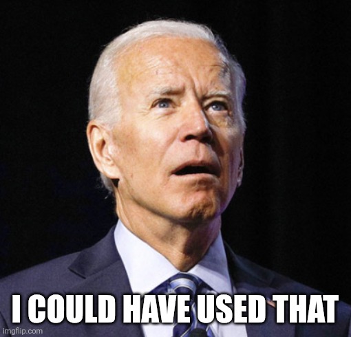 Lost Biden | I COULD HAVE USED THAT | image tagged in lost biden | made w/ Imgflip meme maker