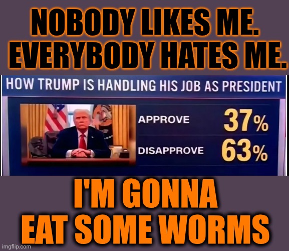 Long Slim Slimy Ones.  BIG FAT Juicy Ones.  Trump's Gonna Eat Some Wooorms | NOBODY LIKES ME.  EVERYBODY HATES ME. I'M GONNA EAT SOME WORMS | image tagged in memes,maga,trump sucks,trump lies,nazis,lock him up | made w/ Imgflip meme maker