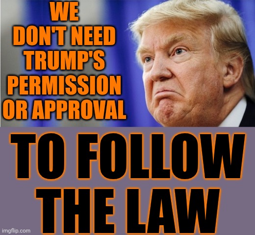 Release SNAP Benefits And Swear Her In.  We're NOT Asking And We Did NOT Stutter.  Trump Is A President And He Is REPLACEABLE! | WE DON'T NEED TRUMP'S PERMISSION OR APPROVAL; TO FOLLOW THE LAW | image tagged in trump mad,lock him up,trump lies,maga,nazis,special kind of stupid | made w/ Imgflip meme maker