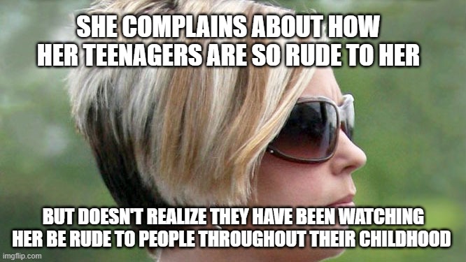 hmmmm i wonder... | SHE COMPLAINS ABOUT HOW HER TEENAGERS ARE SO RUDE TO HER; BUT DOESN'T REALIZE THEY HAVE BEEN WATCHING HER BE RUDE TO PEOPLE THROUGHOUT THEIR CHILDHOOD | image tagged in karen,hipocrisy | made w/ Imgflip meme maker