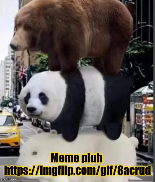 Meme pluh 
https://imgflip.com/gif/8acrud | made w/ Imgflip meme maker