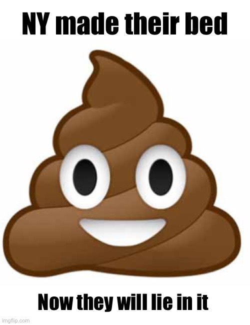 Any doubters? | NY made their bed; Now they will lie in it | image tagged in poop emoji | made w/ Imgflip meme maker