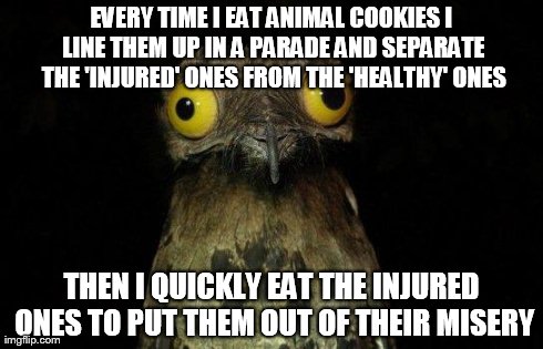 Crazy eyed bird | EVERY TIME I EAT ANIMAL COOKIES I LINE THEM UP IN A PARADE AND SEPARATE THE 'INJURED' ONES FROM THE 'HEALTHY' ONES THEN I QUICKLY EAT THE IN | image tagged in crazy eyed bird,AdviceAnimals | made w/ Imgflip meme maker