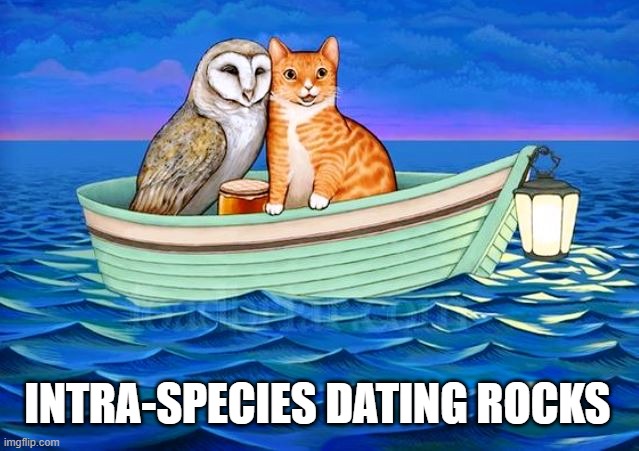 INTRA-SPECIES DATING ROCKS | made w/ Imgflip meme maker