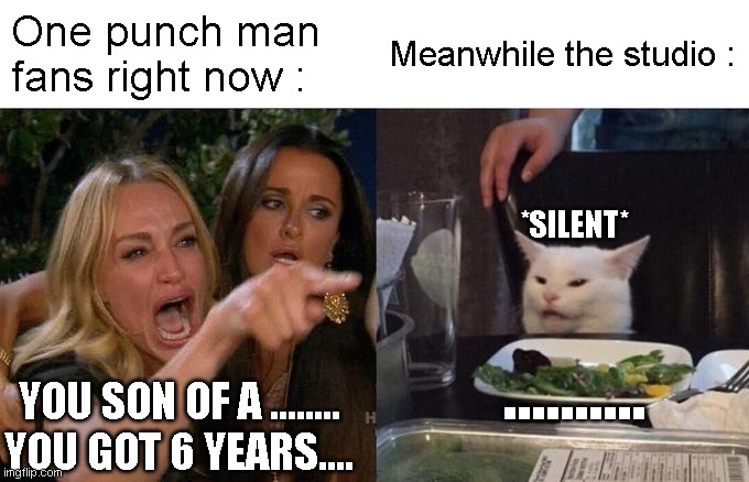 One punch man fans to studio | One punch man fans right now :; Meanwhile the studio :; *SILENT*; .......... YOU SON OF A ........
YOU GOT 6 YEARS.... | image tagged in memes,woman yelling at cat | made w/ Imgflip meme maker