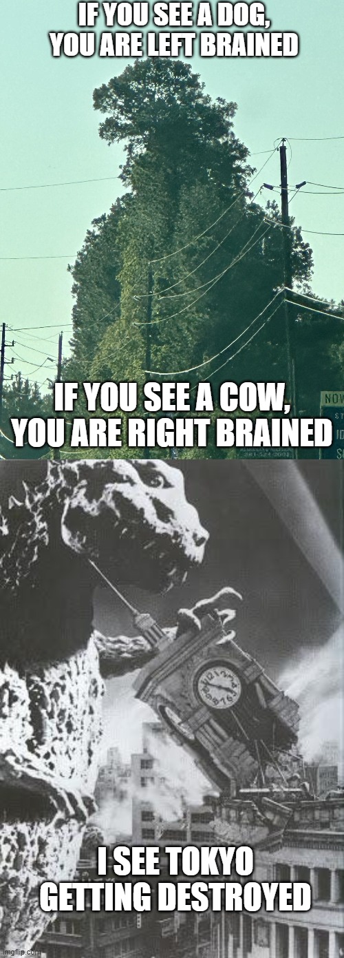 Oh No, They Say He's got to GO GO GO... | IF YOU SEE A DOG, YOU ARE LEFT BRAINED; IF YOU SEE A COW, YOU ARE RIGHT BRAINED; I SEE TOKYO GETTING DESTROYED | image tagged in godzilla destroys a clock tower | made w/ Imgflip meme maker