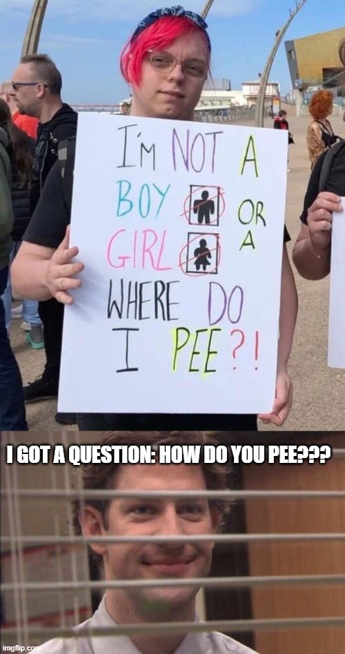 How Do You? | I GOT A QUESTION: HOW DO YOU PEE??? | image tagged in jim halpert smirking | made w/ Imgflip meme maker